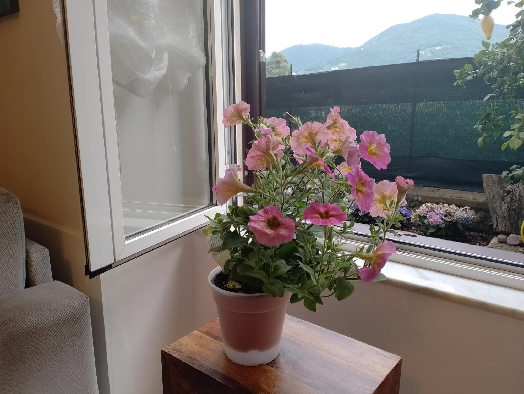 דירות לה ספציה Casa Veve' מראה חיצוני תמונה